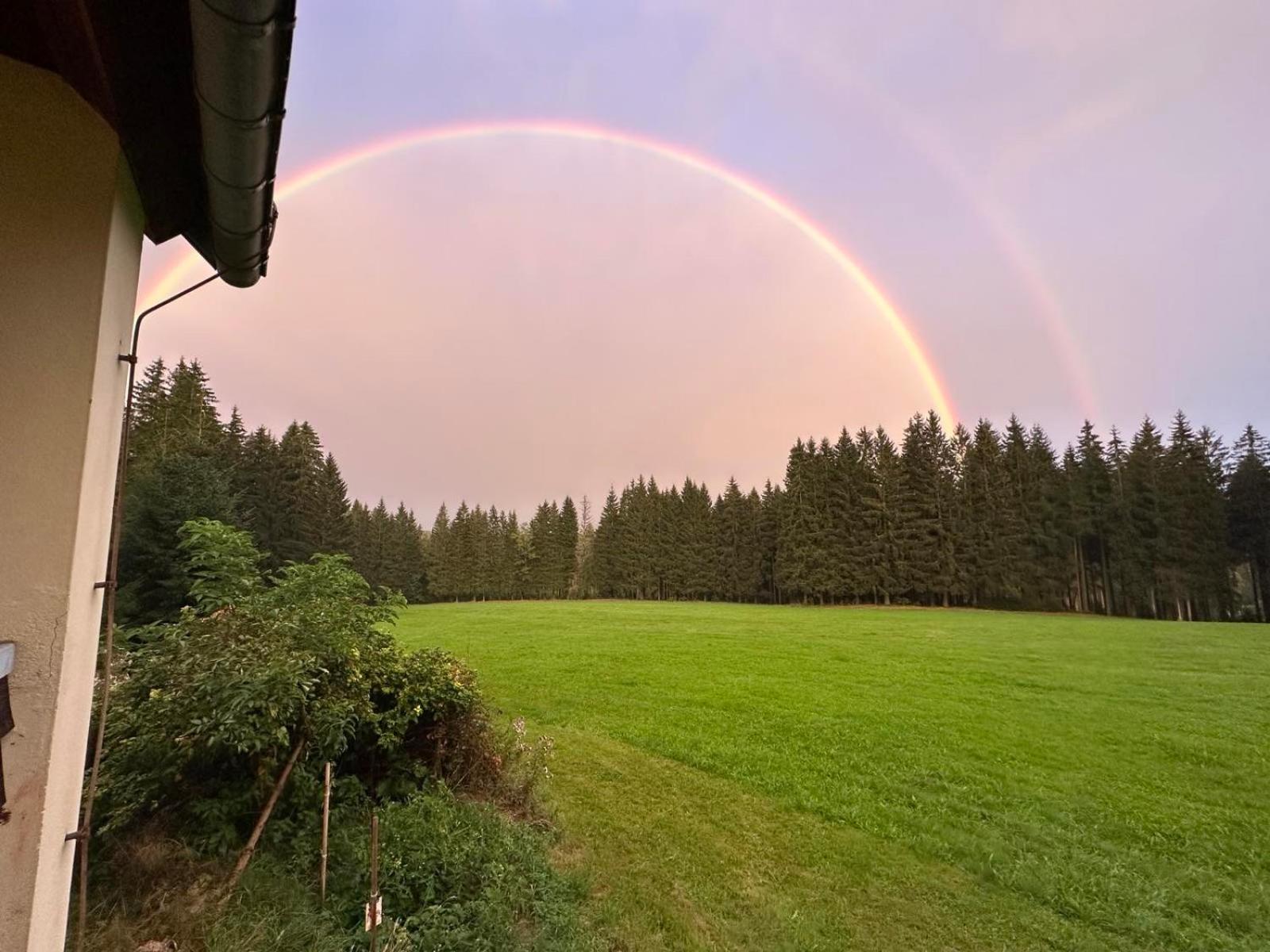 Waldhotel Zoebischhaus Bad Reiboldsgrün Exterior foto