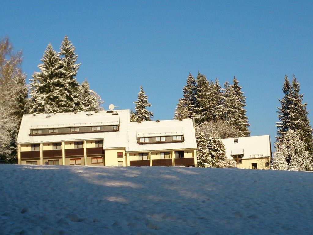 Waldhotel Zoebischhaus Bad Reiboldsgrün Exterior foto