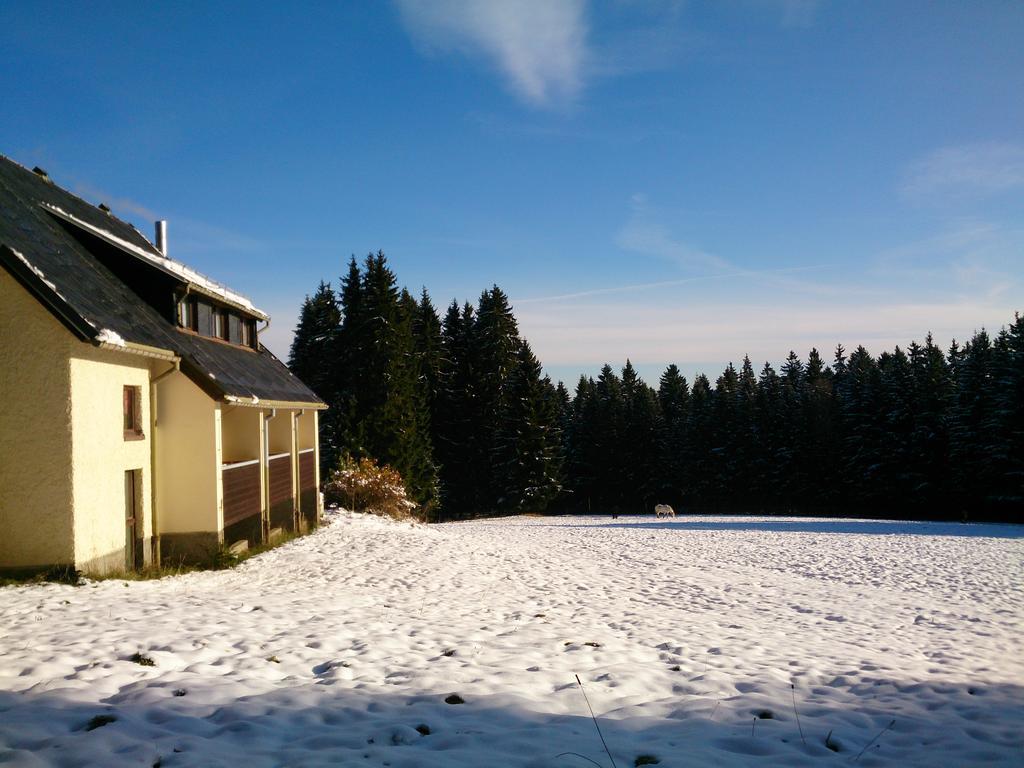 Waldhotel Zoebischhaus Bad Reiboldsgrün Exterior foto
